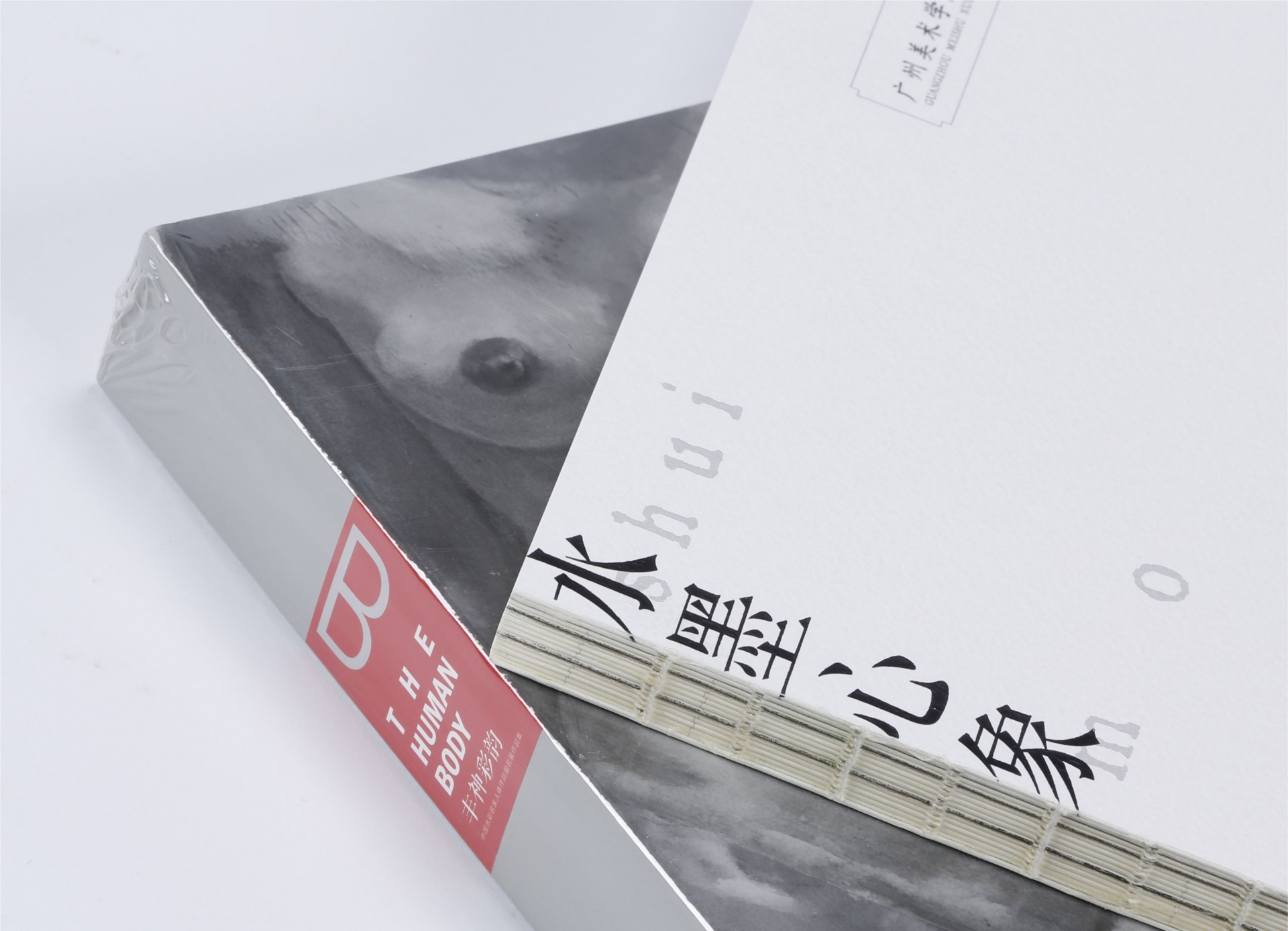 精裝藝術(shù)畫冊(cè)